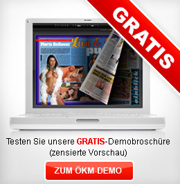 zum &Ouml;KM-Demo